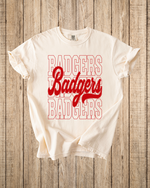 BADGER Spirit!